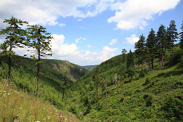 Image showing jeseniky mountains (czech republic)