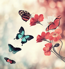 Image showing Flowers And Butterflies