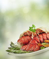 Image showing Grilled Lobster Tail