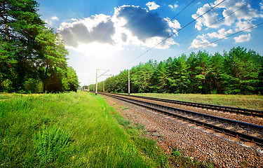 Image showing Railroad and pine forest