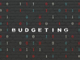 Image showing Finance concept: Budgeting on wall background