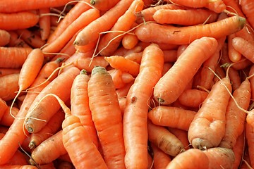 Image showing Carrots