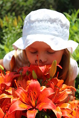 Image showing little girl smells lilies on the flower-bed