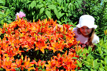 Image showing little girl smells lilies on the flower-bed