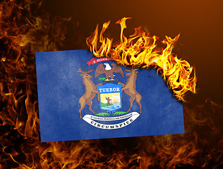 Image showing Flag burning - Michigan