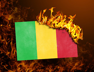 Image showing Flag burning - Mali