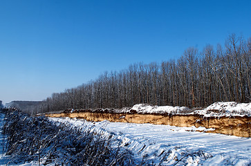 Image showing road in the woods