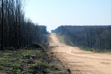 Image showing road in the forest