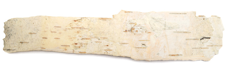 Image showing birch bark