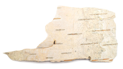 Image showing birch bark