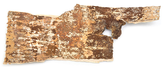 Image showing birch bark