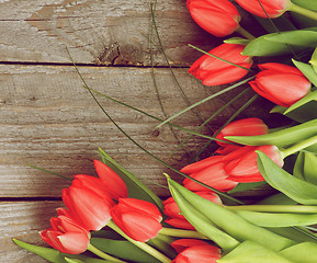 Image showing Spring Tulips