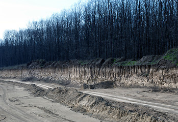 Image showing quarry trees