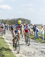 Image showing The Peloton- Paris Roubaix 2015