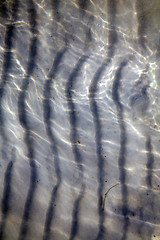 Image showing sand and  thailand  tao bay of a  wet  in  south  sea