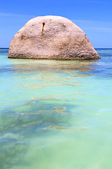 Image showing asia  the  kho tao bay isle white  beach     south china sea 