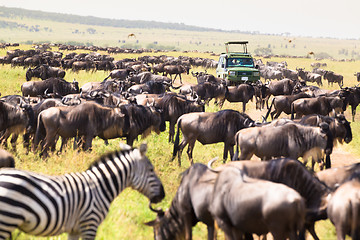 Image showing Jeeps on african wildlife safari. 