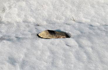Image showing Spring snow thawed 