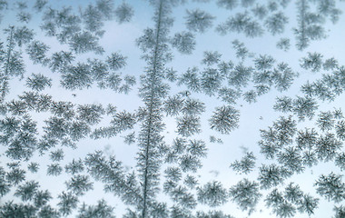 Image showing Snowflakes frozen glass 