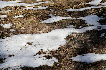 Image showing Spring snow thawed 