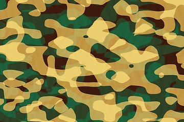 Image showing Camouflage Fabric Textures, Texture 5