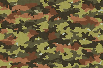 Image showing Camouflage Fabric Textures, Texture 10