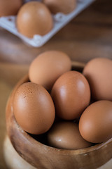 Image showing Fresh eggs 