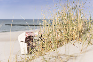 Image showing Dune grass on Baltic Sea beach