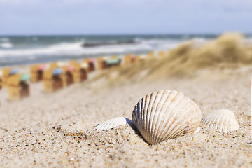 Image showing Seashell and beach chairs Baltic Sea