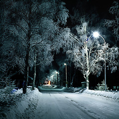 Image showing Christmas tree in snowy surroundings.