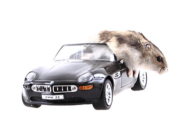 Image showing dzungarian mouse and toy car 