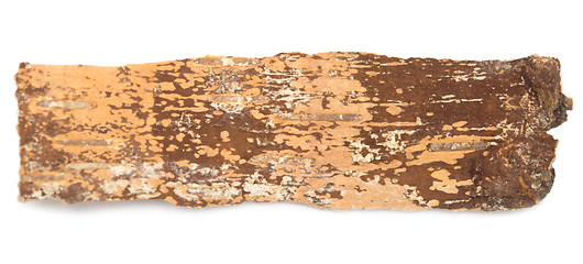 Image showing birch bark