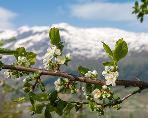 Image showing Landscape with mountains. Norwegian fjords