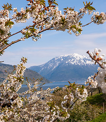 Image showing Landscape with mountains. Norwegian fjords