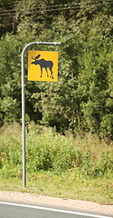 Image showing  Road sign attention elk