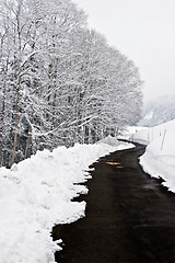 Image showing Winter Road