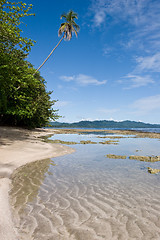 Image showing Caribbean Beach