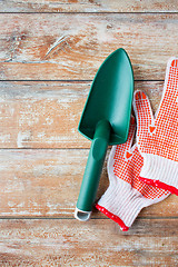 Image showing close up of trowel and garden gloves