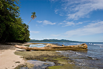 Image showing Tropical View