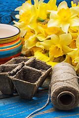 Image showing garden tools and cut daffodils