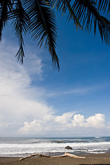 Image showing Tropical View