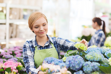 Image showing happy woman taking care of flowers in greenhouse