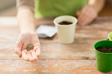 Image showing close up of woman hand holding seeds