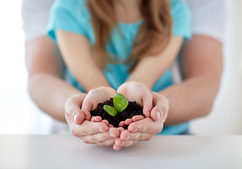 Image showing close up of father and girl hands holding sprout