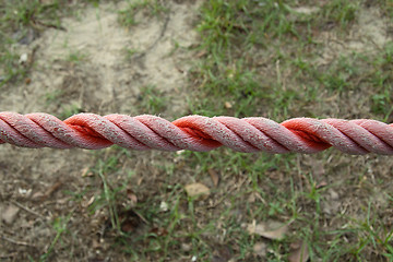 Image showing rope