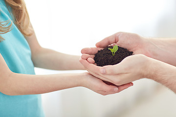 Image showing close up of father and girl hands holding sprout