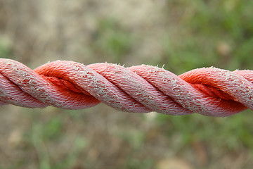 Image showing rope