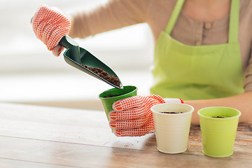 Image showing close up of woman hands with trowel sowing seeds