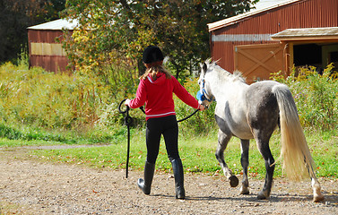Image showing Girl and pony