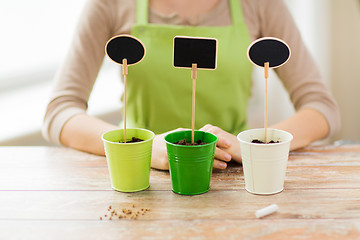 Image showing close up of woman over pots with soil and signs